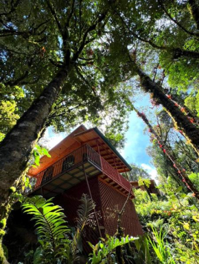 Cabaña Anturios